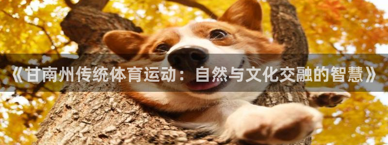 蓝图娱乐集团总部