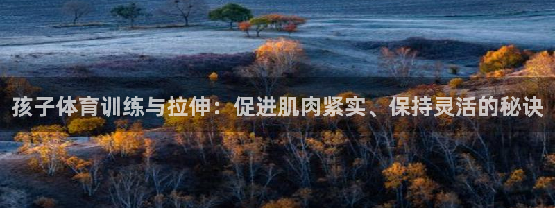 蓝图娱乐2官网：孩子体育训练与拉伸：促进肌肉紧实、保持灵活的秘诀