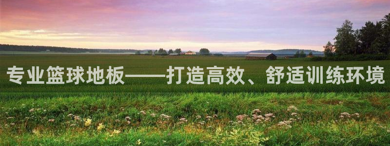 意昂包：专业篮球地板——打造高效、舒适训练环境